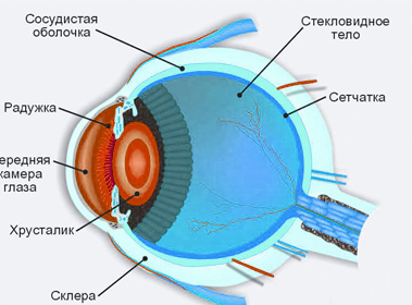 эписклерит глаза, склерит – лечение в glazdok